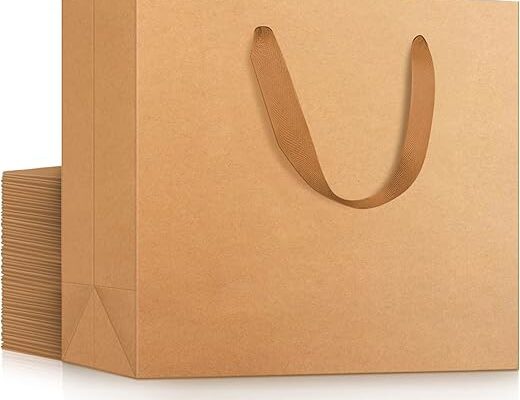 EUSOAR Kraft Paper Gift Bags, 25pcs Small 10.6"x3.1"x8.3" Brown Sturdy Heavy Duty Shopping Bags with Handle Bulk, Retail, Boutique, Business,Wedding Party Favor,Grocery,Restaurant Merchandise Bag